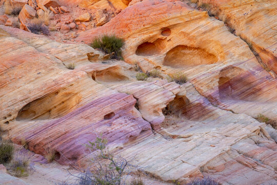 Colorful sandstone layers and honeycomb-like erosion features reveal the striking geology of Valley of Fire State Park in Nevada's Mojave Desert.