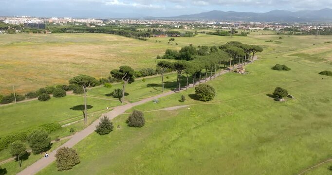Aerial panoramic view of the Parco degli Acquedotti in Rome, Italy, with its iconic stone pine trees and green meadows stretching toward the distant city skyline under a clear blue summer sky.