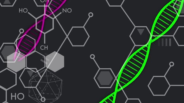 On start magenta helix sliding down threading chemical graphics to merge, green helix oscillating
