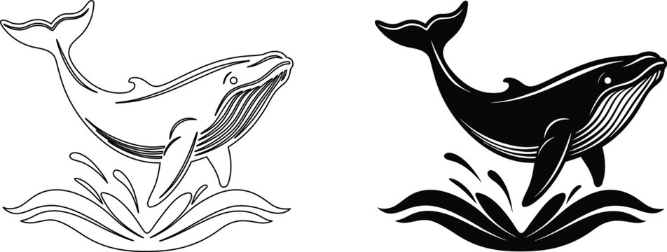 Humpback whale breaching illustration in line art and black silhouette style set design.