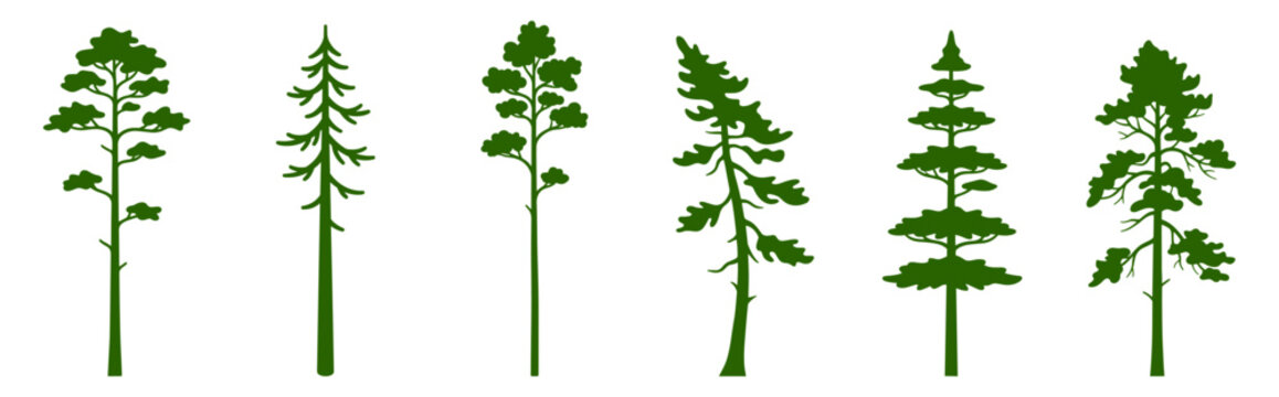 set of evergreen tree silhouettes vector illustration design on transparent background