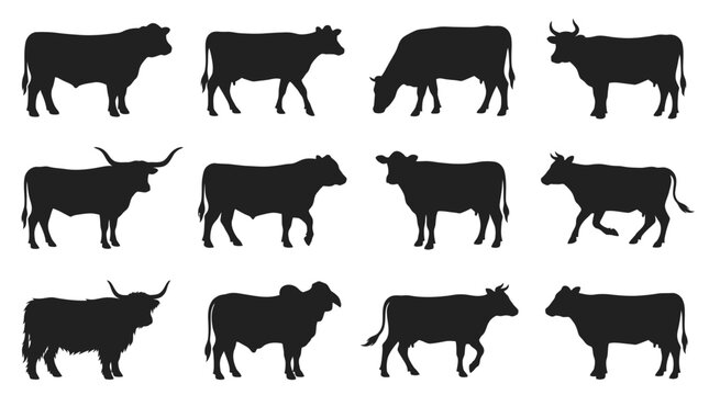 Black silhouettes of various cows and bulls in different poses and breeds standing alone