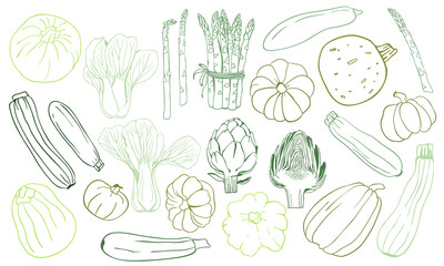 Fototapeta premium Hand-drawn vegetable vector collection featuring fresh organic products like pumpkin, artichoke, asparagus, and more. Perfect for healthy branding, packaging, and markets.