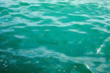 Fototapeta premium Abstract turquoise green sea water surface with gentle ripples bubbles and light reflections natural background