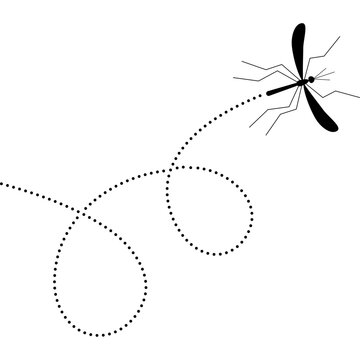 Mosquito insect flying on dotted route. 