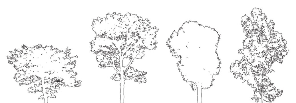 Minimal CAD tree line drawings, side view outline set, architectural landscape design elements, vector forest garden section illustration