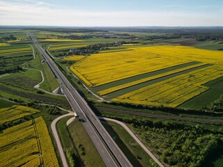 Województwo Świętokrzyskie - Polska - pola rzepaku w rozkwicie, piękny żółty kolor i krajobraz wiejski zdjęcie wykonane dronem z powietrza. Rzepak, pola, drogi, niebo, krajobraz wiejski © Konrad