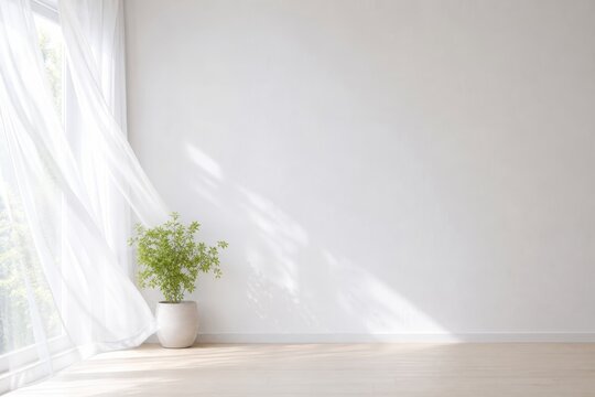 レースカーテンに夏の日差しが入る白い室内