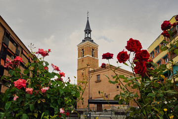 Bell tower of San Salvador Church in Leganes, Madrid, with red roses in the foreground. © LuisM