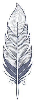 Detailed feather illustration with textured lines and stylized embellishments
