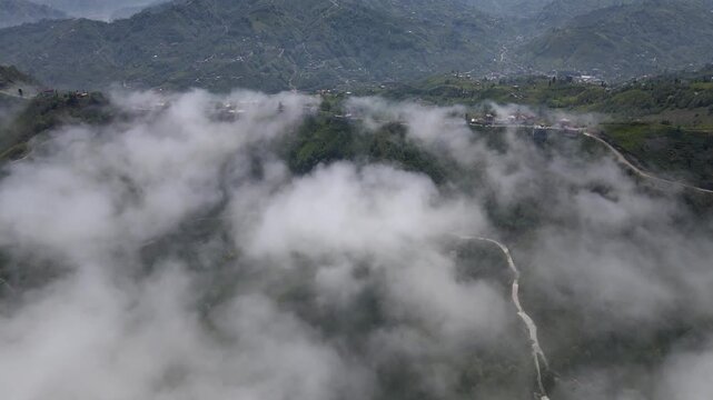The green tea gardens and the dancing clouds over the green tea gardens, which are the most important source of livelihood of the province of Rize, located in the Black Sea of Turkey.