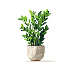 Fototapeta premium 2D flat vector graphic of a ZZ Plant in icon style, isolated on white background
