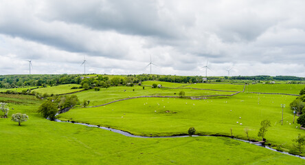 Obraz premium Rolling green meadows with sheep, stone walls and wind turbines near Donegal, Ireland. A rural landscape combining farmland, open scenery and renewable energy.