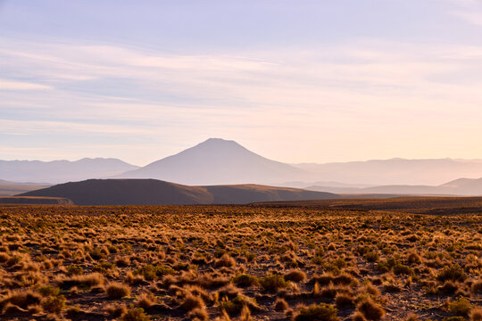 Expansive Bolivian Altiplano landscape stretches under a soft, golden sky. Dry grasses cover the ground leading to layers of misty mountains.