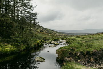 Naklejka premium Misty mountain stream near Glenmacnass Waterfall in County Wicklow, Ireland. Wild Irish landscape in Wicklow Mountains National Park near Sally Gap.