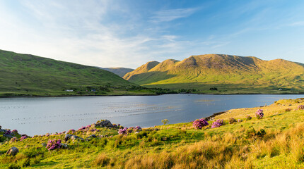 Naklejka premium Sunset view of Killary Fjord near Leenane on the Galway Mayo border, Ireland. Scenic mountain and coastal landscape along the Wild Atlantic Way in Connemara.