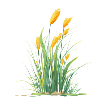 Modern flat 2D vector illustration of a Marsh Grass, minimal design style on a white background.