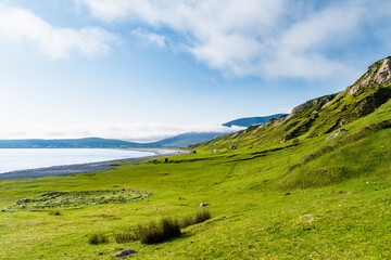 Fototapeta premium Southern Keel Beach on Achill Island, County Mayo, Ireland, with green coastal slopes above the shore. This image shows the quieter grassy edge of the beach.