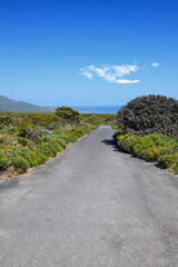 Obraz premium Travel, landscape and empty road with blue sky for adventure, tourism destination and location. Background, space and street with nature, plants and outdoor for journey, trip and route to coast