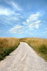 Obraz premium Blue sky, grass and landscape of gravel road in nature for travel location, natural tourism or path. Eco friendly, clouds and street in countryside for scenic route, getaway journey and vegetation