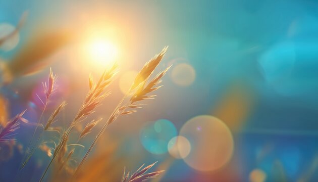 Vibrant Summer S With Blurred Gradients, Perfect For Creative Summer Season Graphics. Bright And Colorful Summertime Design.