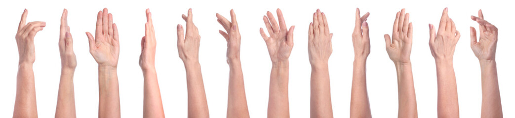 Collection of female hands isolated on white, closeup