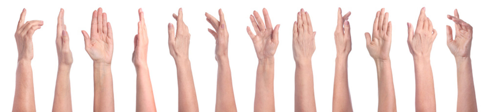 Collection of female hands isolated on white, closeup