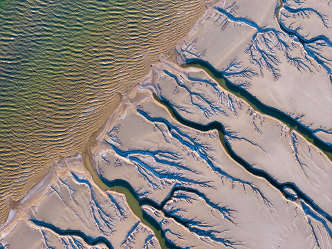 Aerial view of intricate dendritic water channels and sand flats at Reserva de la Biosfera Alto Golfo de California y Delta del Rio Colorado in Tijuana, Baja California, Mexico.
