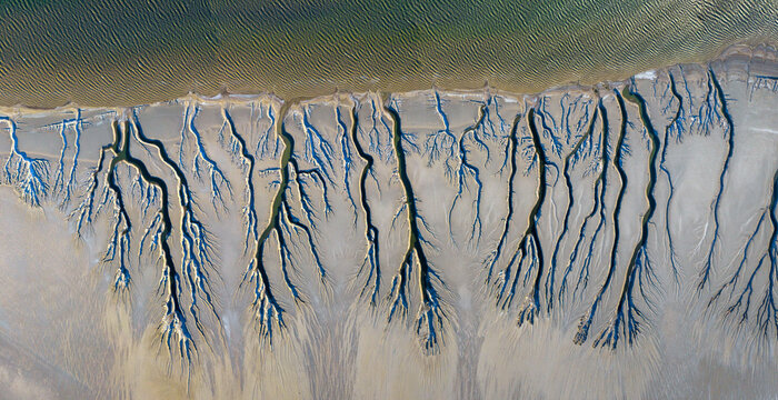 Aerial view of the intricate dendritic drainage patterns of the Reserva de la Biosfera Alto Golfo de California y Delta del Rio Colorado Tijuana, Baja California, Mexico.