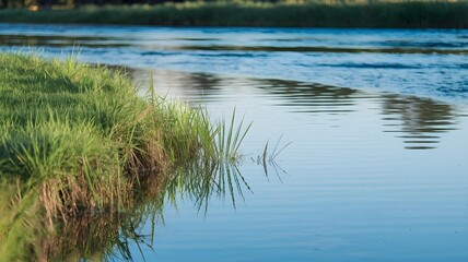 Obraz premium Calm river flowing gently past a lush green grassy bank