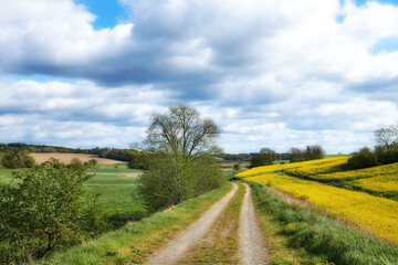 Obraz premium Clouds, field and landscape with dirt road in nature for travel destination, roadtrip and holiday. Sky, grass and path in countryside for scenic route, getaway journey or trail in natural environment