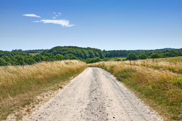 Obraz premium Blue sky, field and landscape of gravel road in countryside for travel, roadtrip and destination. Space, trees and scenic path in nature for getaway journey, natural environment or roadway vegetation