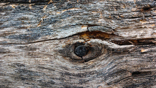 Rustic texture of old weathered wood with rusty nails and natural tree knot