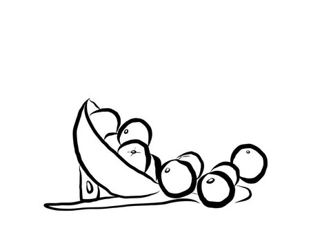 Fruit Spillover Physics