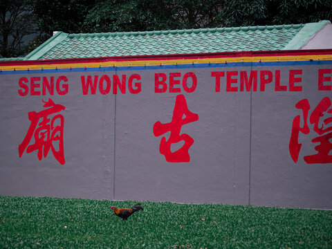 Seng Wong Beo Temple wall with red Chinese characters and a rooster on grass