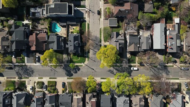 Top down showing residential area with cars driving on streets, houses with pools, and lush green trees creating a vibrant urban neighborhood in North America