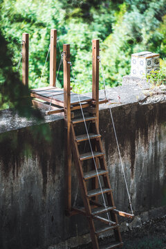 Modern homemade wooden ladder with cable rails descends into an aged concrete pool, mixing contemporary repair, rustic materials, and forest surroundings