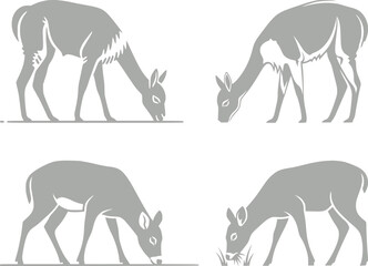 Fototapeta premium Llama and alpaca icon set in flat vector style. Collection of cute camelid animal illustrations with standing poses and detailed head designs isolated.