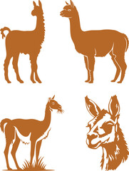 Fototapeta premium Llama and alpaca icon set in flat vector style. Collection of cute camelid animal illustrations with standing poses and detailed head designs isolated.
