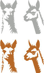 Fototapeta premium Llama and alpaca icon set in flat vector style. Collection of cute camelid animal illustrations with standing poses and detailed head designs isolated.