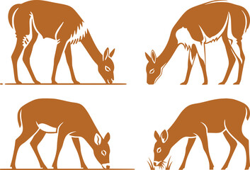 Fototapeta premium Llama and alpaca icon set in flat vector style. Collection of cute camelid animal illustrations with standing poses and detailed head designs isolated.