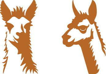 Fototapeta premium Llama and alpaca icon set in flat vector style. Collection of cute camelid animal illustrations with standing poses and detailed head designs isolated.