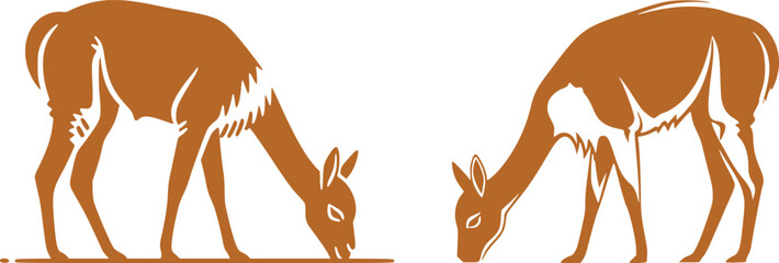 Fototapeta premium Llama and alpaca icon set in flat vector style. Collection of cute camelid animal illustrations with standing poses and detailed head designs isolated.