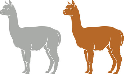 Fototapeta premium Llama and alpaca icon set in flat vector style. Collection of cute camelid animal illustrations with standing poses and detailed head designs isolated.