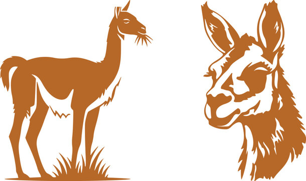 Llama and alpaca icon set in flat vector style. Collection of cute camelid animal illustrations with standing poses and detailed head designs isolated.