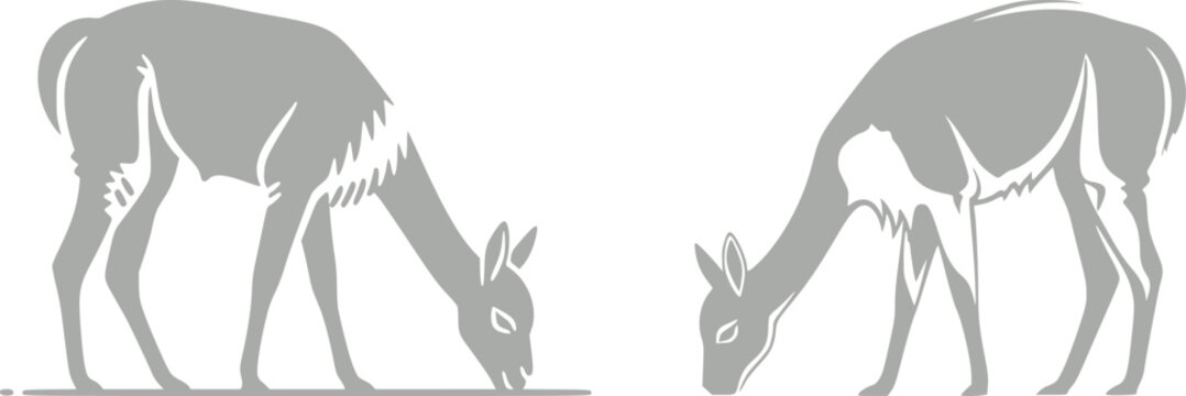 Llama and alpaca icon set in flat vector style. Collection of cute camelid animal illustrations with standing poses and detailed head designs isolated.