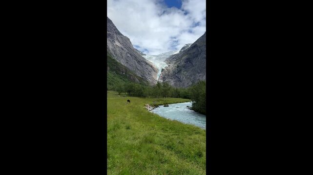 a river flows from a glacier, goats graze in a meadow
