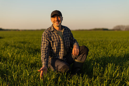Happy man farmer kneeling in green field examining crops, smiling at camera, working in rural farming area. Successful farm production concept