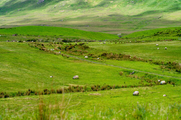 Obraz premium Sunlit mountains and green fields spread across the landscape near Killary Fjord in western Ireland. A broad rural panorama of the Connemara and Mayo border region.