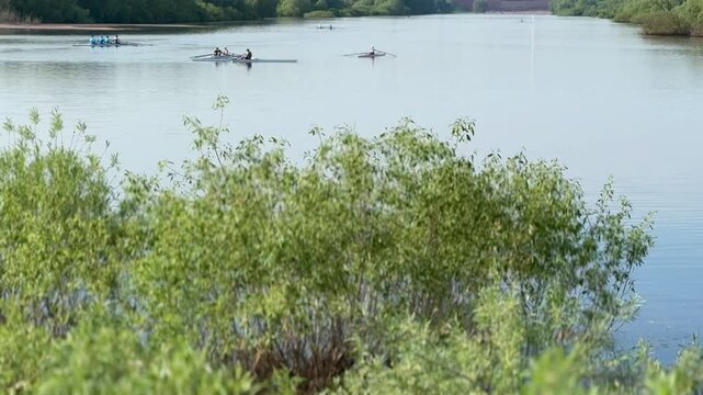 Kayakers training on river water in summer, athlete crew practicing paddling sprints across calm reflective surface, green